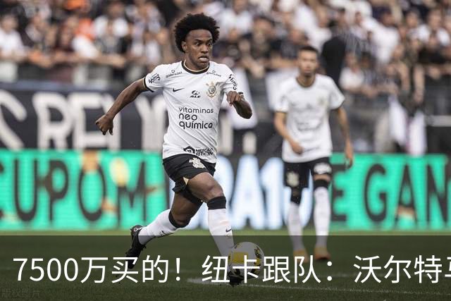 7500万买的！纽卡跟队：沃尔特马德未来存变数，有合适报价可能走